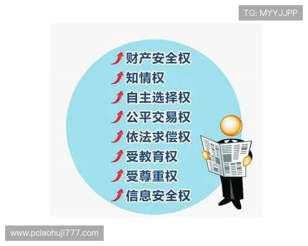 fg游戏官网的安全保障措施，保障玩家账号信息安全