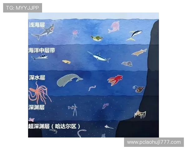 深海动物的行为习性：深海生物的生活方式与生存策略