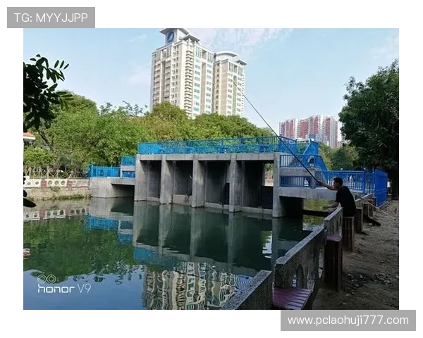 赏金女王：悬赏女王的日常生活与工作秘密，展现她多面精彩的人生画卷