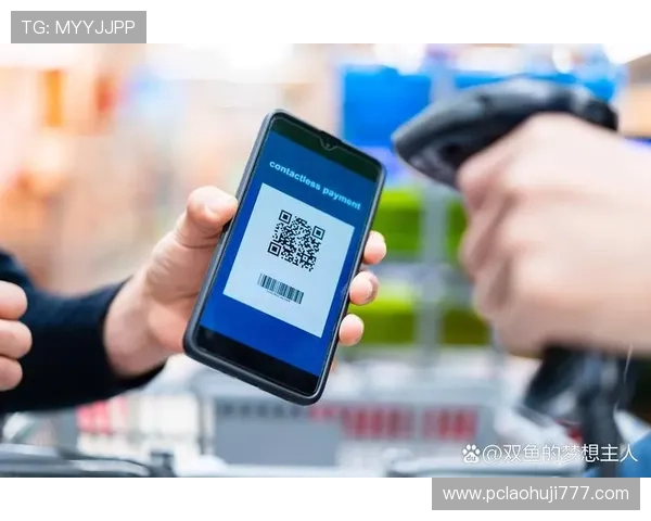 安全访问JDB电子官网入口的详细步骤与常见安全注意事项