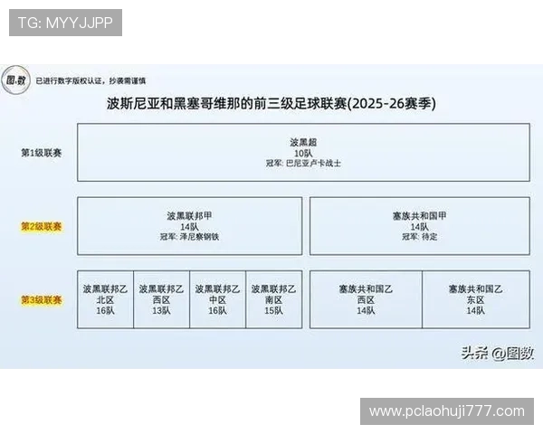 世界杯瑞士波黑比赛现场看球攻略详解包括入场流程、座位选择和观赛注意事项